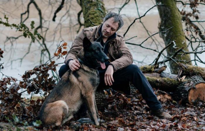 Le Voyageur (France 3) – Bruno Debrandt talks about the dog Emy: “In reality, his name is Maïko…”