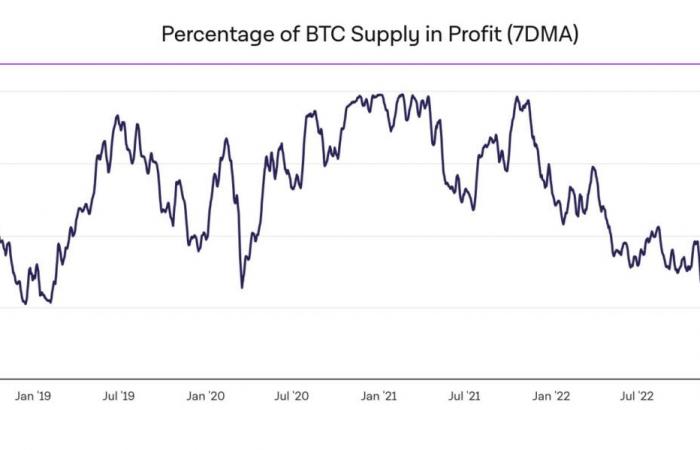 Bitcoin on November 23 – 99% of operators in profit on BTC, time for the final rise?