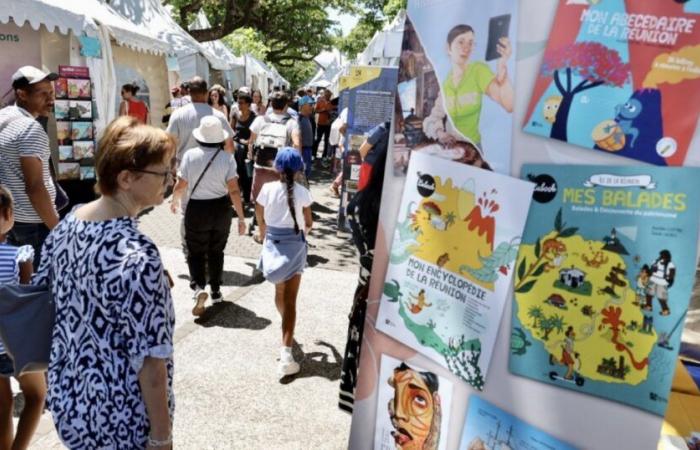 Reunion at the Seine-Saint-Denis Book and Youth Press Fair