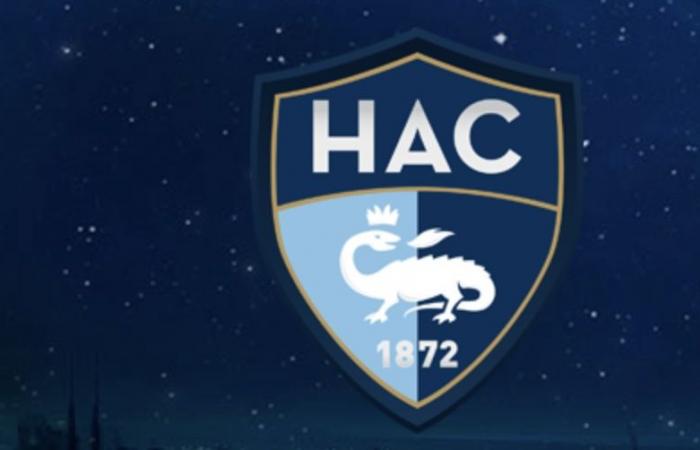 Mercato Havre AC: After André Ayew, another former OM targeted by the HAC