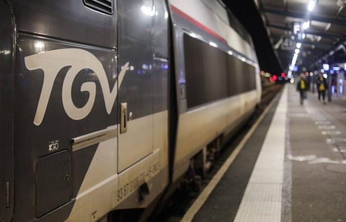 Hendaye-Paris passengers stranded nine hours before arriving in… Bordeaux