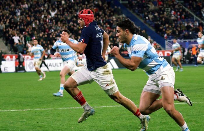 XV of France – An autumn tour full of promise before the 2025 6 Nations Tournament