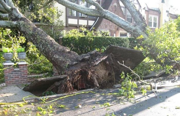 Weather alert for violent winds this Monday, November 25 in the Pyrénées-Atlantiques, Hautes-Pyrénées, Gers, Haute-Garonne, Ariège, Tarn-et-Garonne