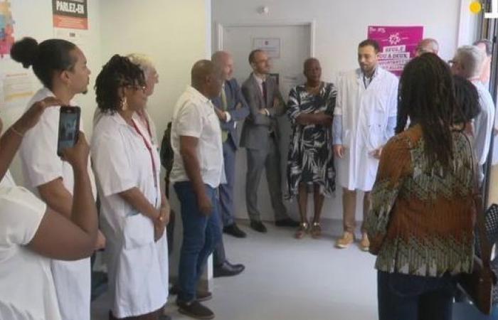 Martinique: inauguration of a first regional center for occupational and environmental pathologies