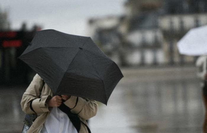 Storm Bert. The Loire on orange alert for violent winds: here's what to expect