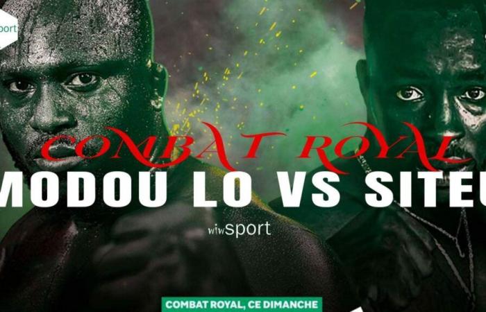 Follow the Modou Lô v Siteu fight live on Wiwsport