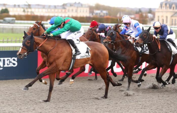 Ashiyma wins the Ceres Prize at Chantilly