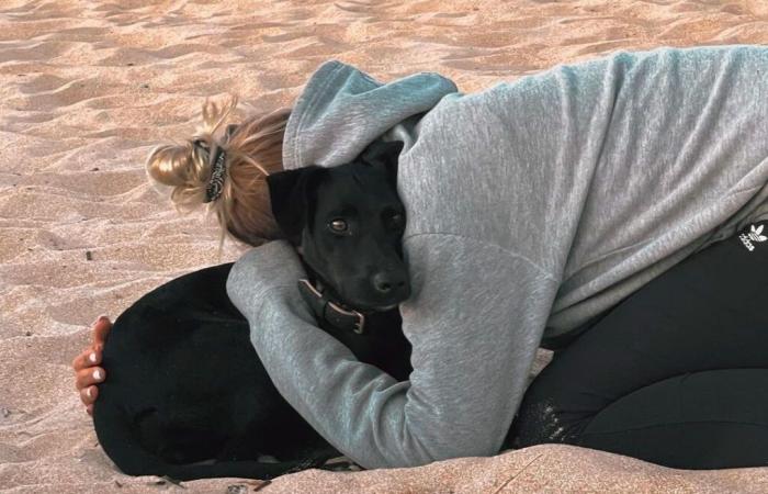 The dog who jumped from a plane at Charles de Gaulle still not found despite extensive searches