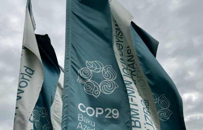 “This COP29 was a real waste”, denounces Climate Action Network