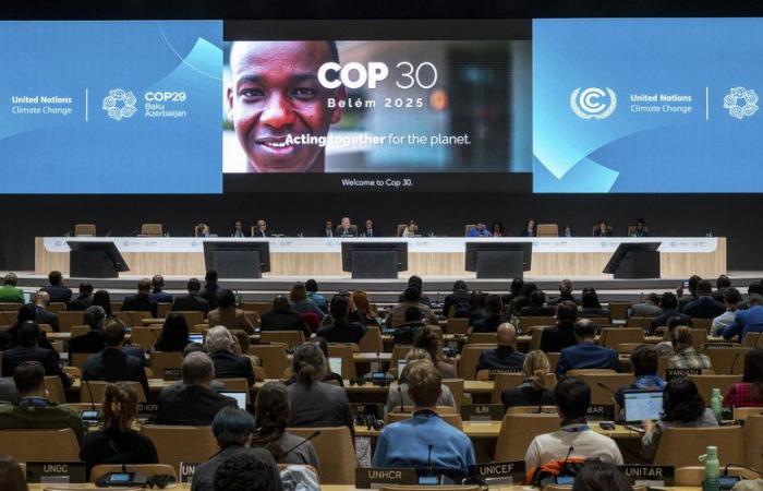 COP29: France denounces “a disappointing agreement” and “not up to the challenges”