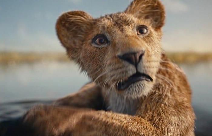 Mufasa The Lion King: our impressions after seeing 30 minutes of the next Disney