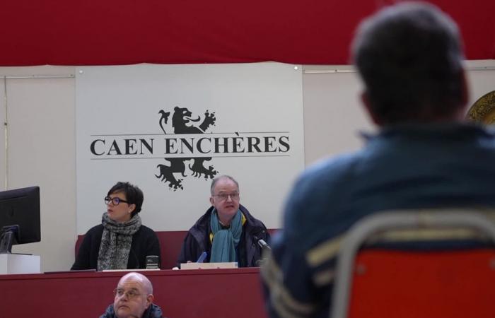 Nazi objects put up for auction spark controversy in Caen