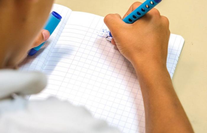 In Haute-Garonne, parents of students obtain the recruitment of a maths teacher… thanks to a petition