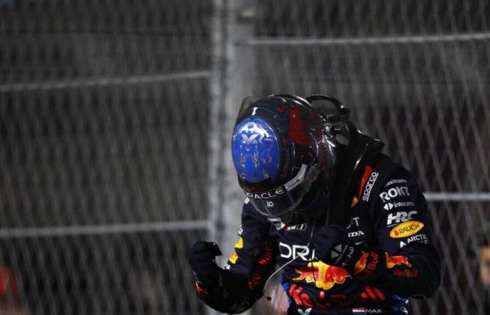 Max Verstappen, a relieved world champion