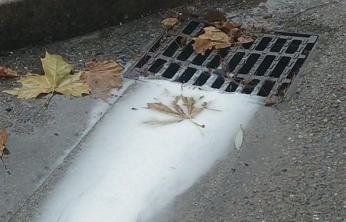 Intervention of the SDIS du Gard anti-pollution unit following the presence of a whitish substance in the Hérault river