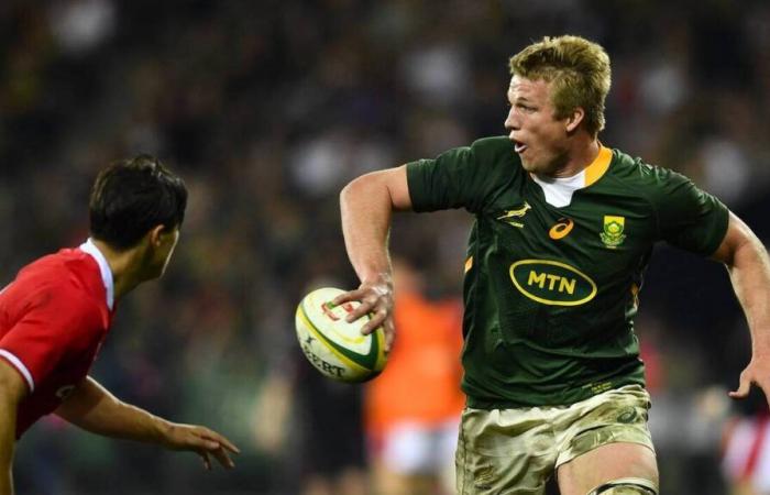 Rugby. Pieter-Steph du Toit named 15s player of the year