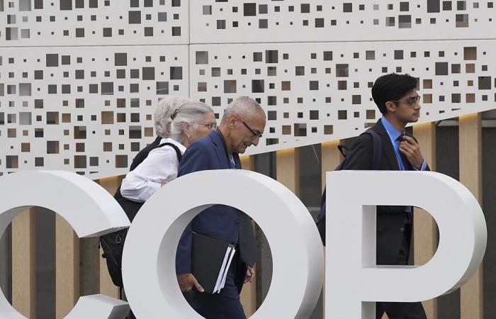 COP29 agreement: the Swiss delegation speaks of a “success”