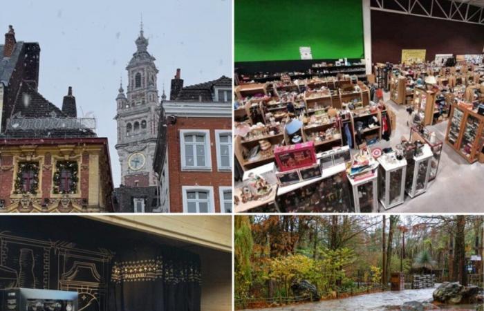 Army helicopters, RSA suspended, Pairi Daizi flooded… The news of the week in Lille and the North