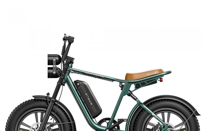 Big price drop on the impressive ENGWE M20 electric bike