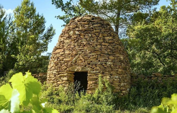 GARD The Vignerons des Capitelles match your end-of-year meals