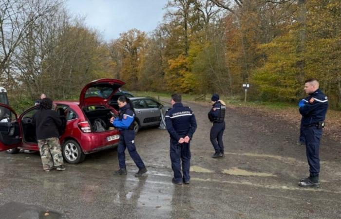 A rave party in Orne illegally brings together 200 people in the Bourse forest