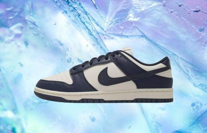 Treat yourself with the Nike Dunk Low Next Nature finally at a knockdown price this Sunday