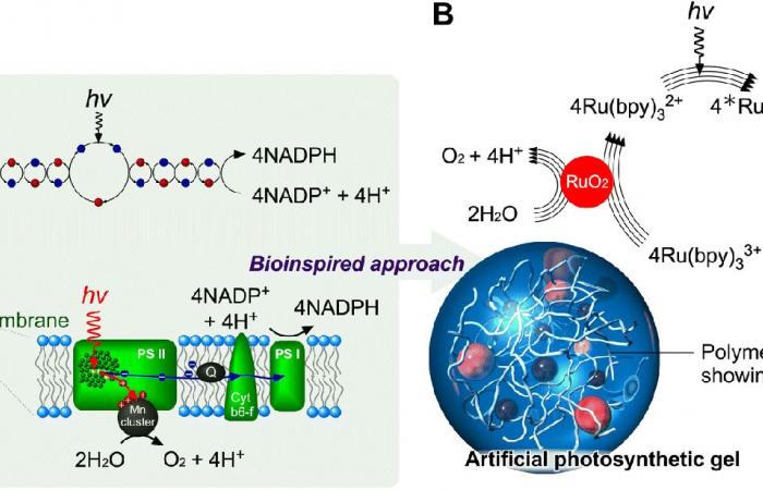 Finally, truly effective artificial photosynthesis? ????