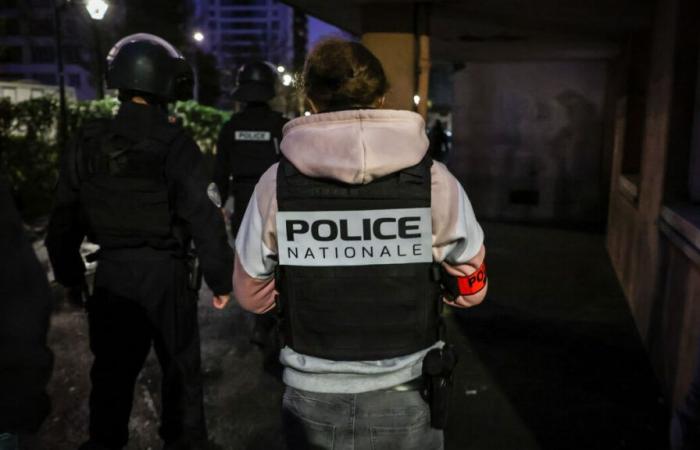 Toulouse: two teenagers in police custody after the murder of a 40-year-old man