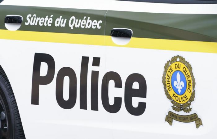 Montérégie | Two pedestrians die after being hit by car