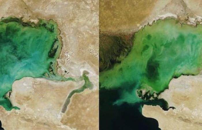 In Baku, the worrying drying up of the Caspian Sea | Climate: where are we?