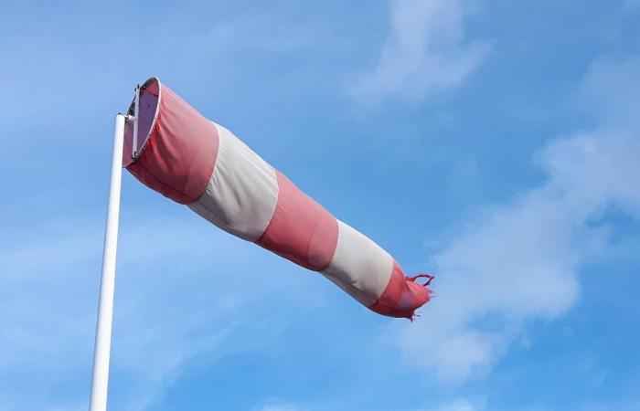 gusts of up to 120 km/h expected, five departments of Auvergne-Rhône-Alpes on orange vigilance