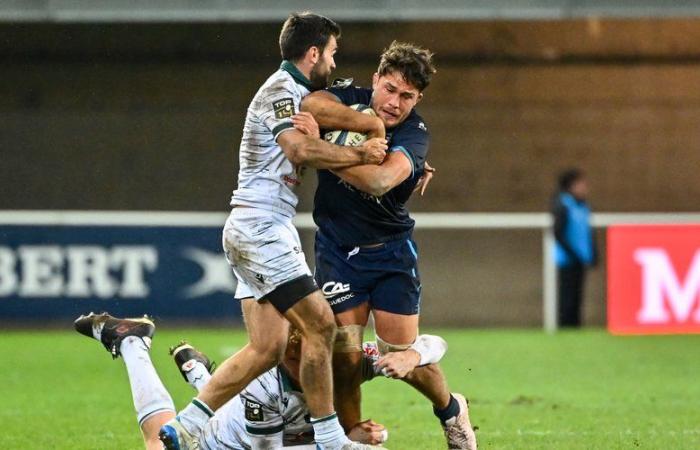 Top 14 – Alexandre Bécognée (Montpellier): “We finally reward ourselves”