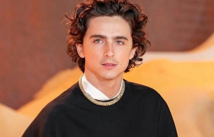 Timothee Chalamet’s surprise gesture sparks excitement for new film