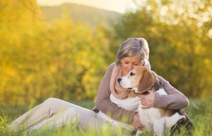 Cancer detection dogs: a medical revolution in progress