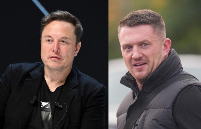 Elon Musk questions Tommy Robinson's prison sentence