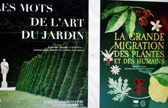 Gift ideas for Christmas: give a book about gardens