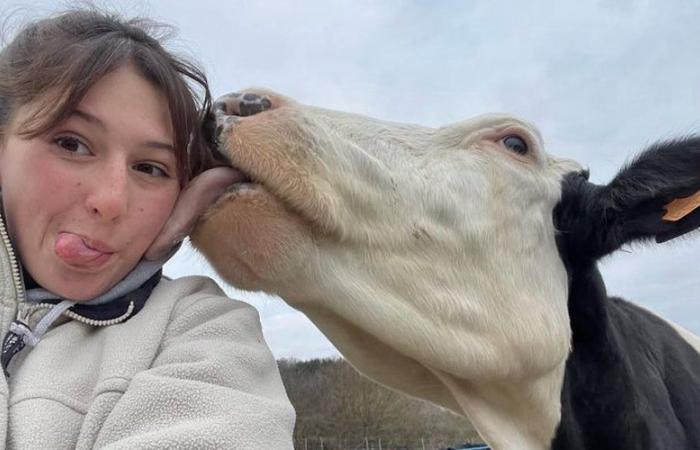 INTERVIEW. Miss Agricultural France: the idea of ​​presenting herself came from her to “show that a woman’s place is not in the kitchen”