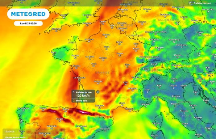 Orange warning for violent winds launched in several departments in France! Are you concerned? ?