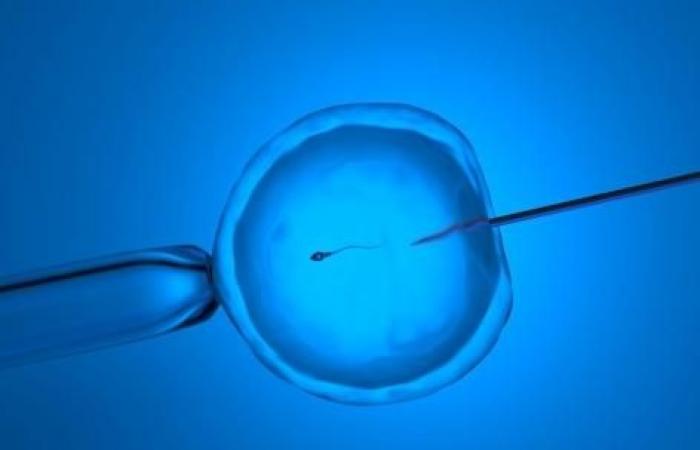 “In 150 years, humanity will almost only reproduce using IVF, that’s for sure”