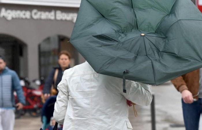 Auvergne-Rhône-Alpes. Alert for violent winds on the Rhône, Loire and Haute-Loire