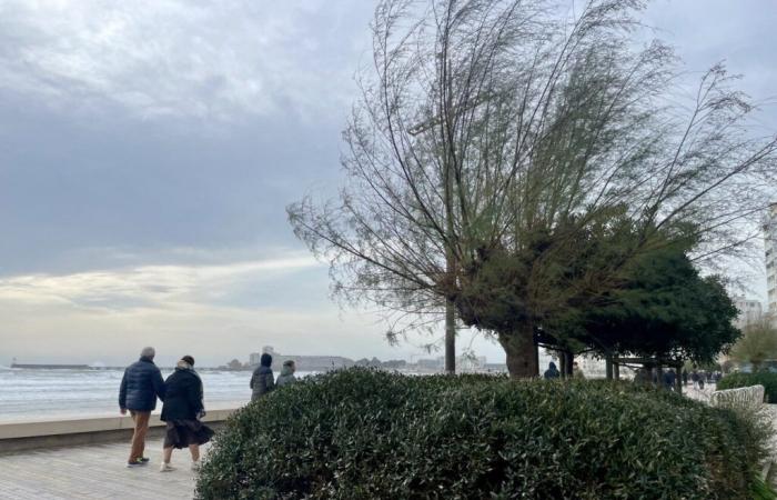 Strong gusts of wind expected overnight, Vendée placed on yellow alert