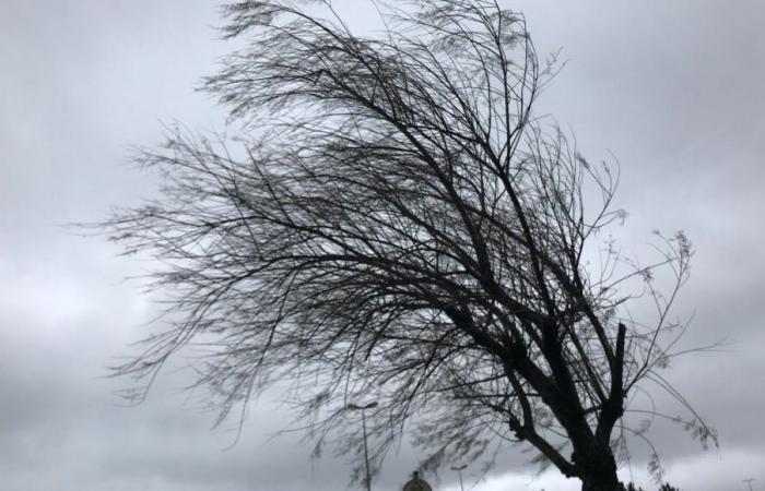 The department of Isère placed on orange alert for violent winds