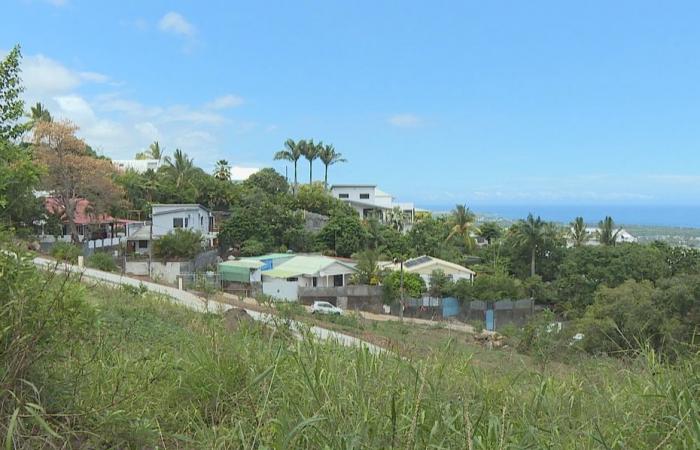 At Étang-Salé, the return of chikungunya awakens bad memories