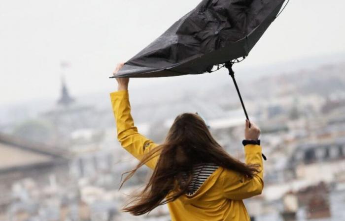 Winds: the Pyrénées-Atlantiques on orange alert this Sunday, three other departments on Monday