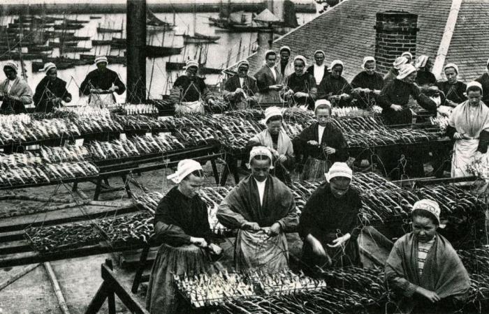 How the “exploited” sardine fisheries of Douarnenez forced the employers to bend