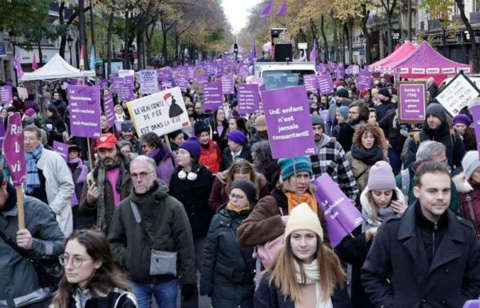 IN PICTURES | Violence against women: demonstrations all over France