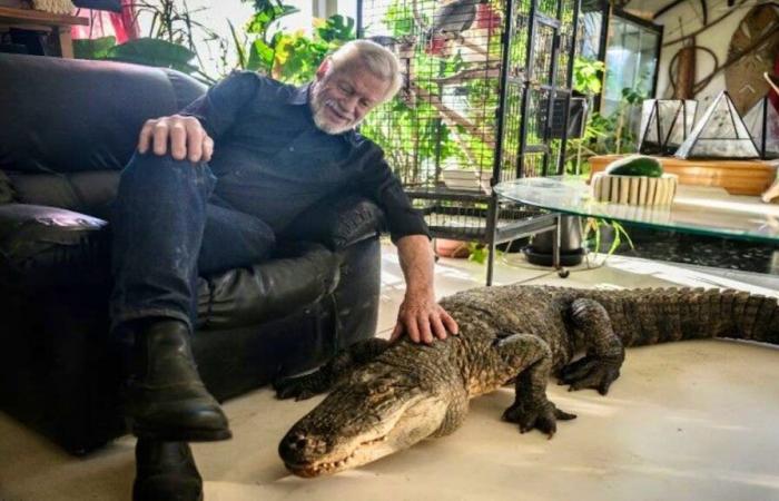 Saving reptiles: Philippe Gillet, committed YouTuber