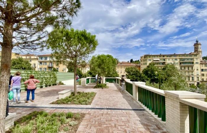 In Nice, the greenery of the city center is gaining hectares… and the support of residents, according to a new survey