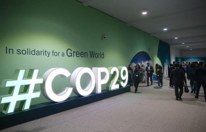 COP29: $300 billion per year to finance climate adaptation in developing countries