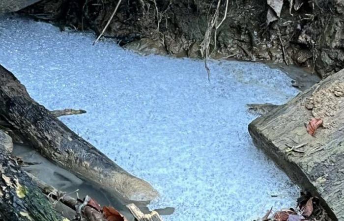 blue water, waste of all kinds… heavy pollution in Mont-Saint-Martin